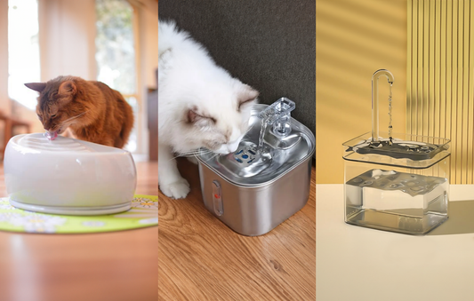 Are Stainless Steel Cat Fountains Better Than Plastic? (Full Guide for 2025)