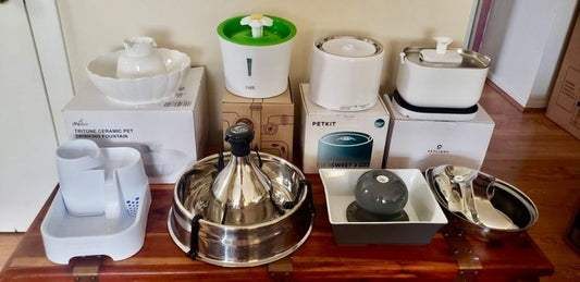 Best Cat Water Fountains 2025 (Top Vet Picks)