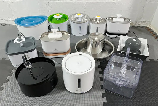 Top 10 Cat Water Fountains for Healthy Hydration in 2025 (Vet-Backed Reviews)