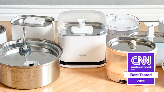 Top 5 Vet-Recommended Cat Water Fountains (2025 Guide)