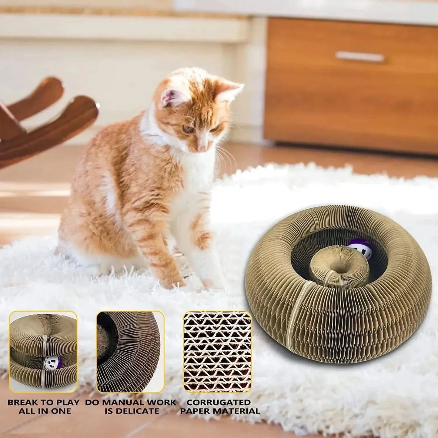 PurrLift™ – Where Every Claw Finds Joy