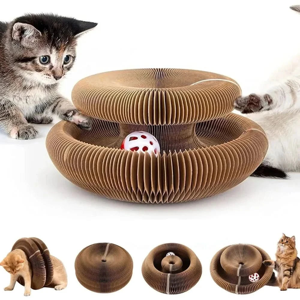PurrLift™ – Where Every Claw Finds Joy