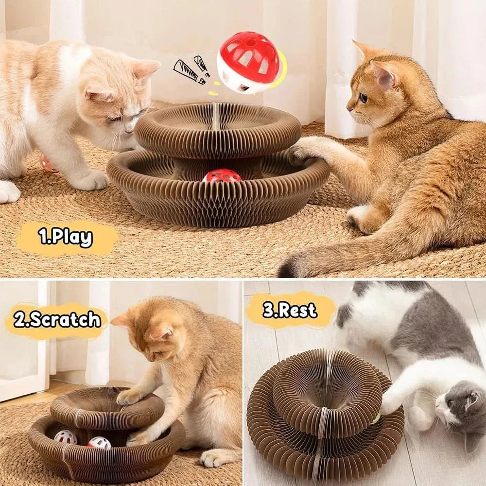 PurrLift™ – Where Every Claw Finds Joy