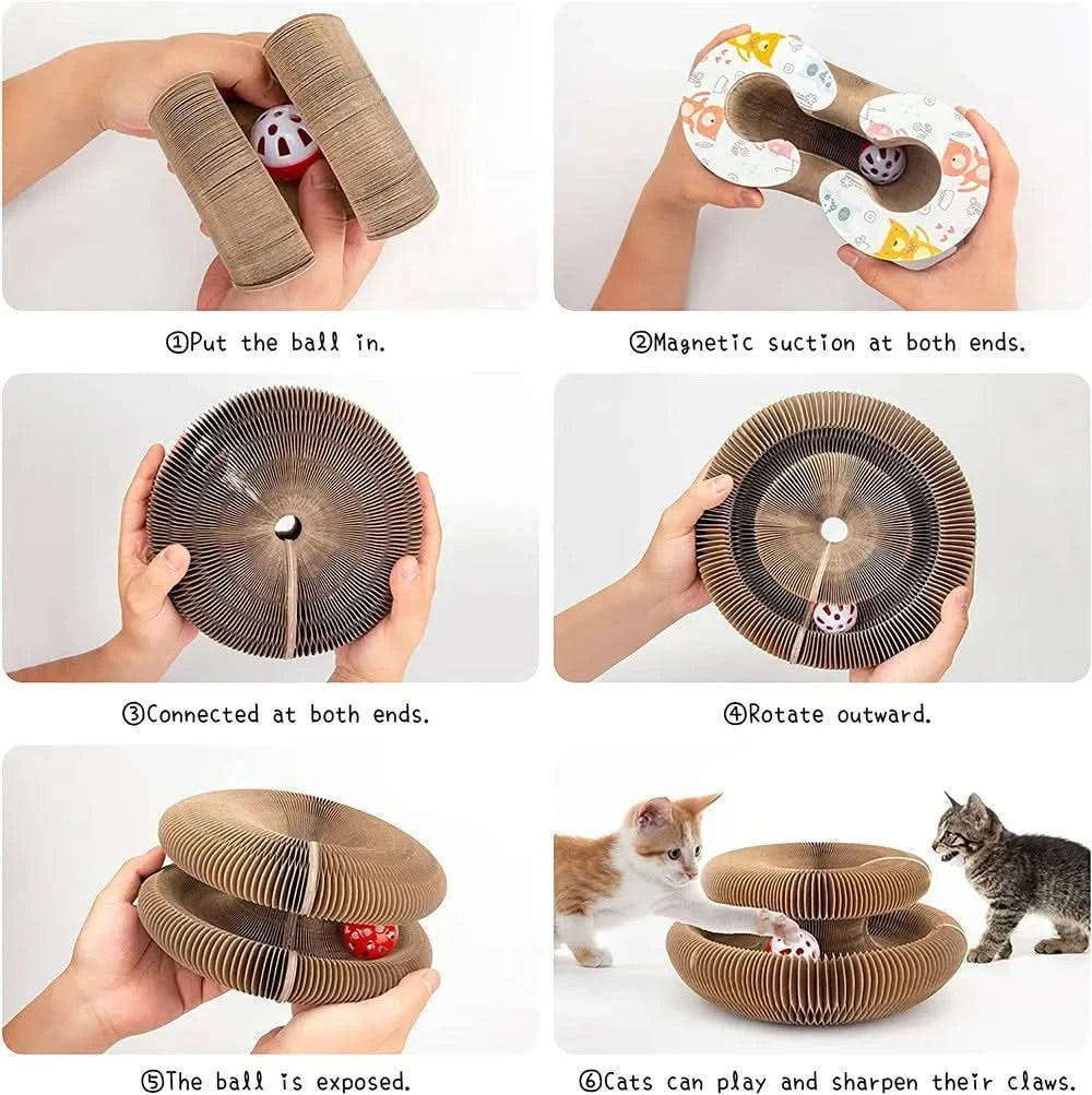 PurrLift™ – Where Every Claw Finds Joy
