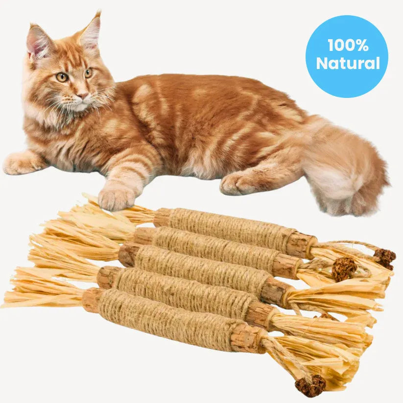 AquaPurr Natural Silvervine Dental Sticks