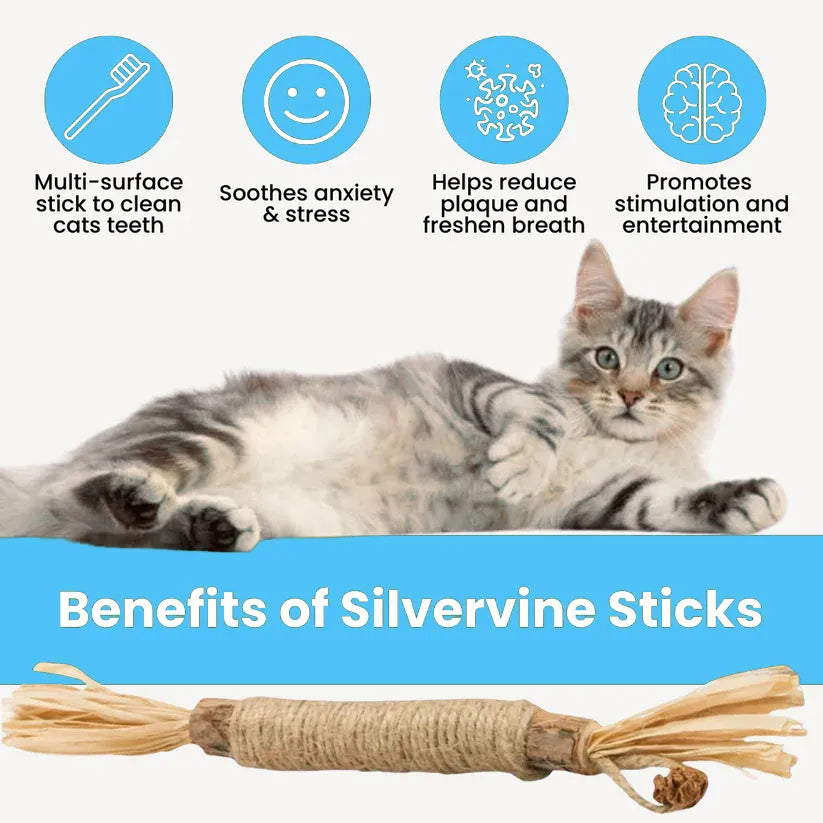 AquaPurr Natural Silvervine Dental Sticks