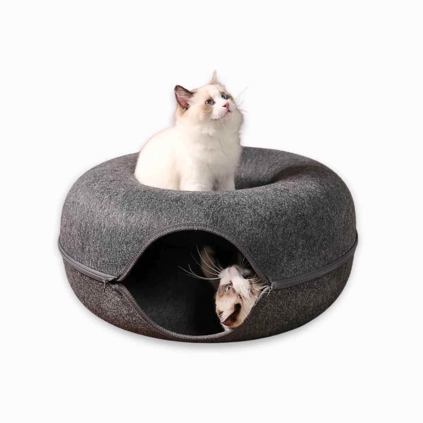 PurrPod™ Hideaway Bed