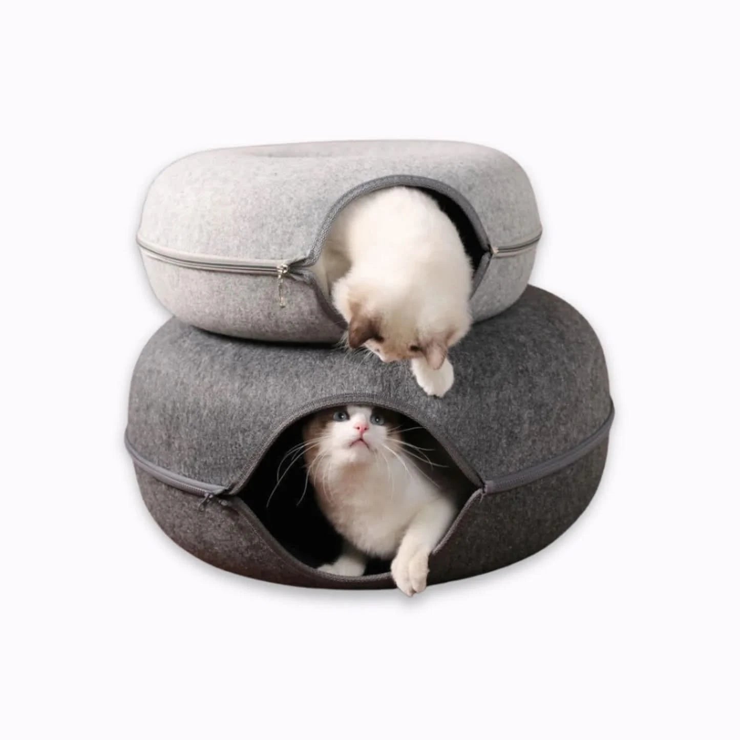 PurrPod™ Hideaway Bed