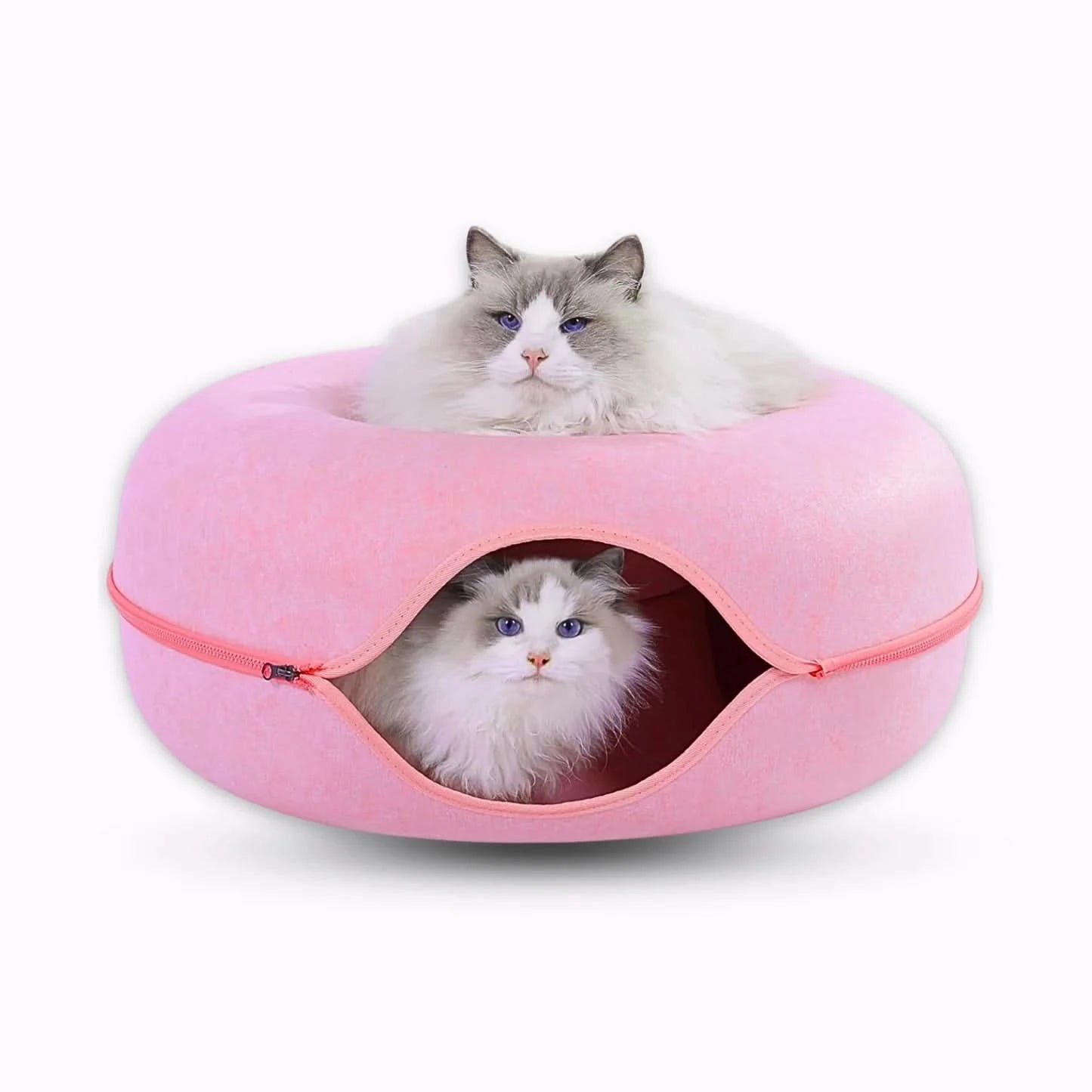 PurrPod™ Hideaway Bed