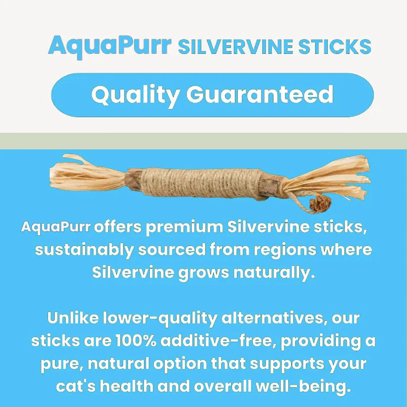 AquaPurr Natural Silvervine Dental Sticks