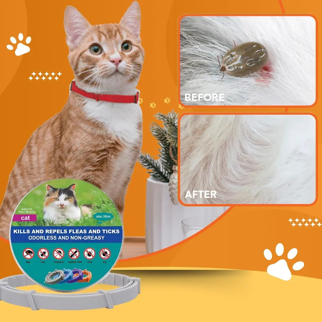 PurrSafe™ - 8 Months Flea & Tick Collar for Cats
