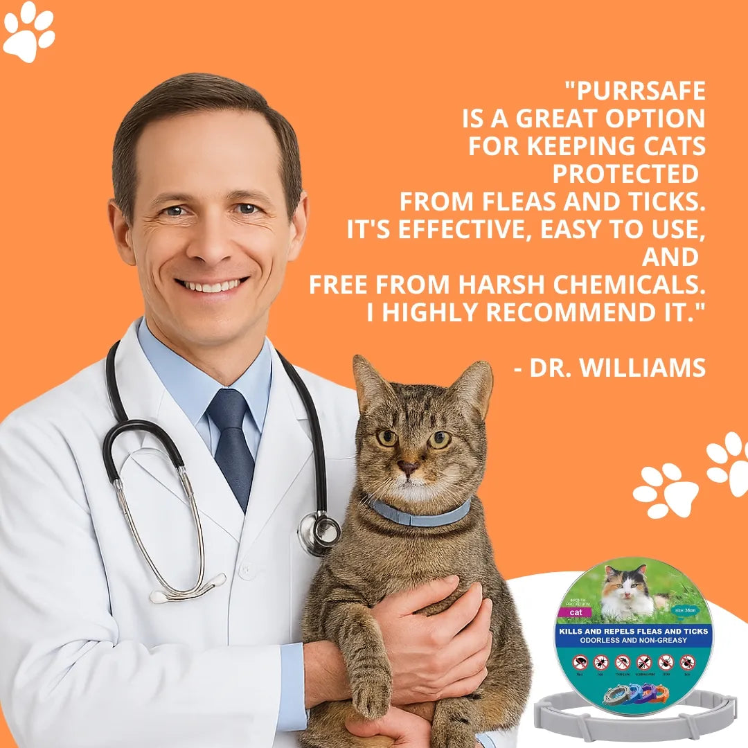 PurrSafe™ - 8 Months Flea & Tick Collar for Cats
