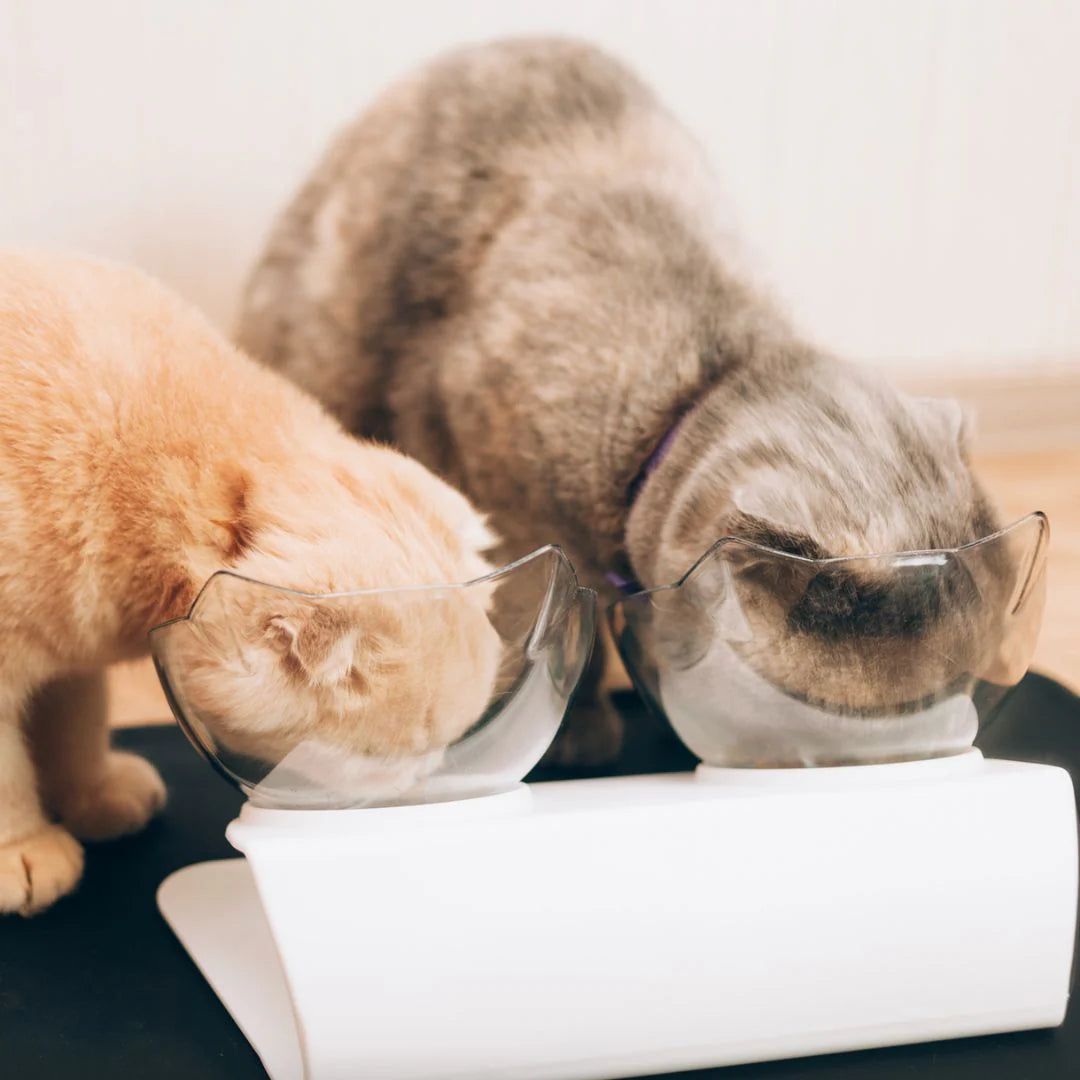 PurrBowl™ Orthopedic Anti-Vomiting Cat Feeder