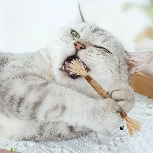 AquaPurr Natural Silvervine Dental Sticks