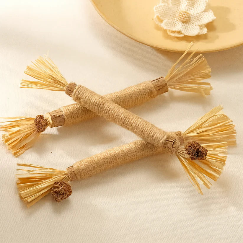 AquaPurr Natural Silvervine Dental Sticks