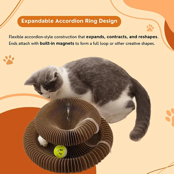 PurrLift™ – Where Every Claw Finds Joy