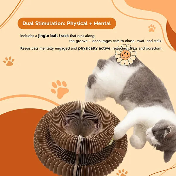 PurrLift™ – Where Every Claw Finds Joy