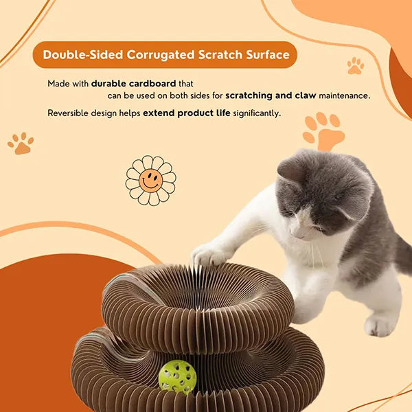 PurrLift™ – Where Every Claw Finds Joy