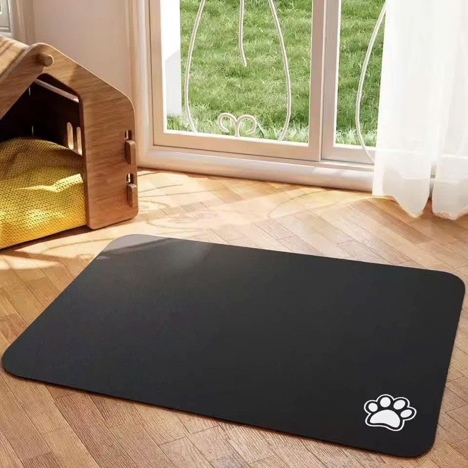 AquaGuard Mat – Absorbent, Quick Dry, Always Clean