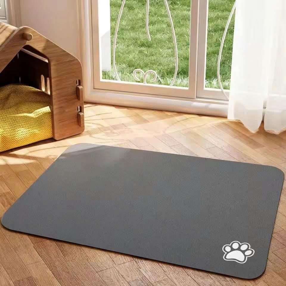 AquaGuard Mat – Absorbent, Quick Dry, Always Clean