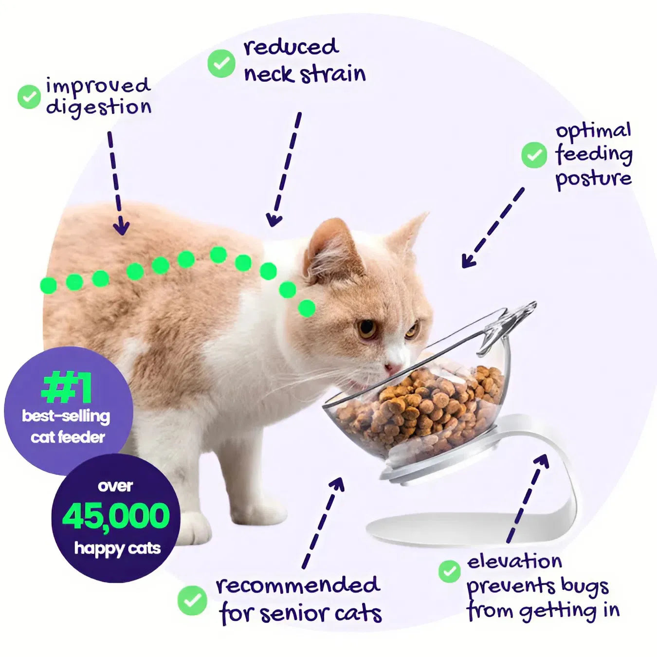 PurrBowl™ Orthopedic Anti-Vomiting Cat Feeder