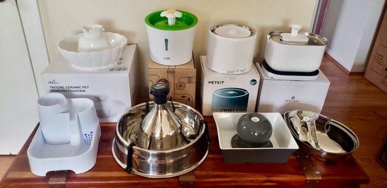 Best Cat Water Fountains 2025 (Top Vet Picks)