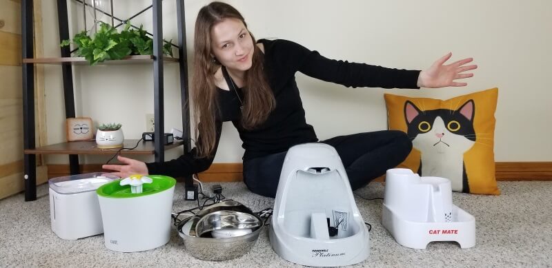 Catit vs PetSafe vs AquaPurr (Comparison Guide 2025)