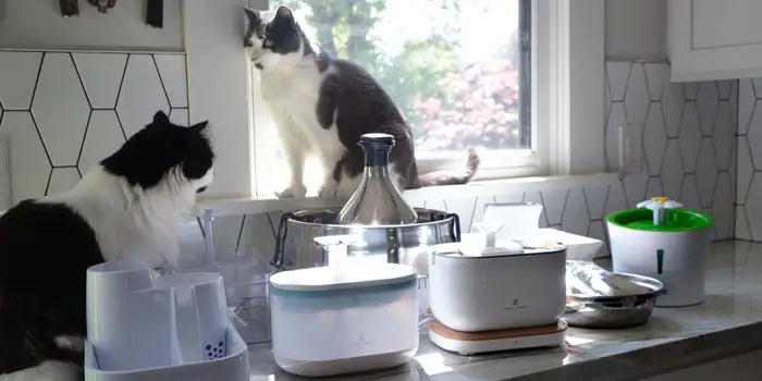 Top 10 Cat Water Fountain Reviews: Which One Is Right for Your Cat?