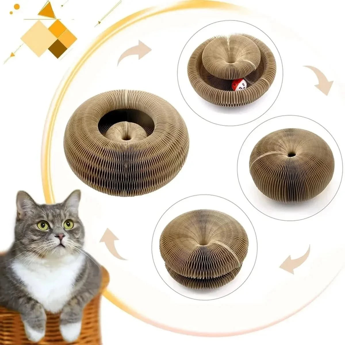 PurrLift™ – Where Every Claw Finds Joy