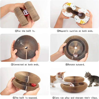 PurrLift™ – Where Every Claw Finds Joy