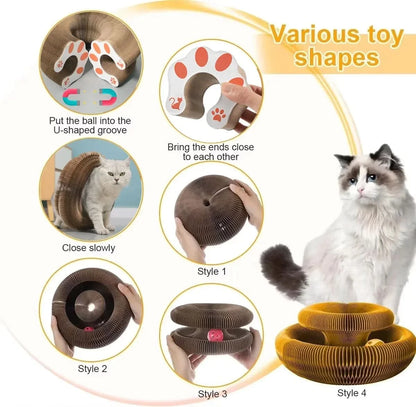 PurrLift™ – Where Every Claw Finds Joy