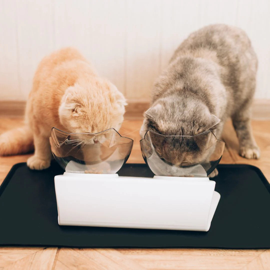 PurrBowl™ Orthopedic Anti-Vomiting Cat Feeder
