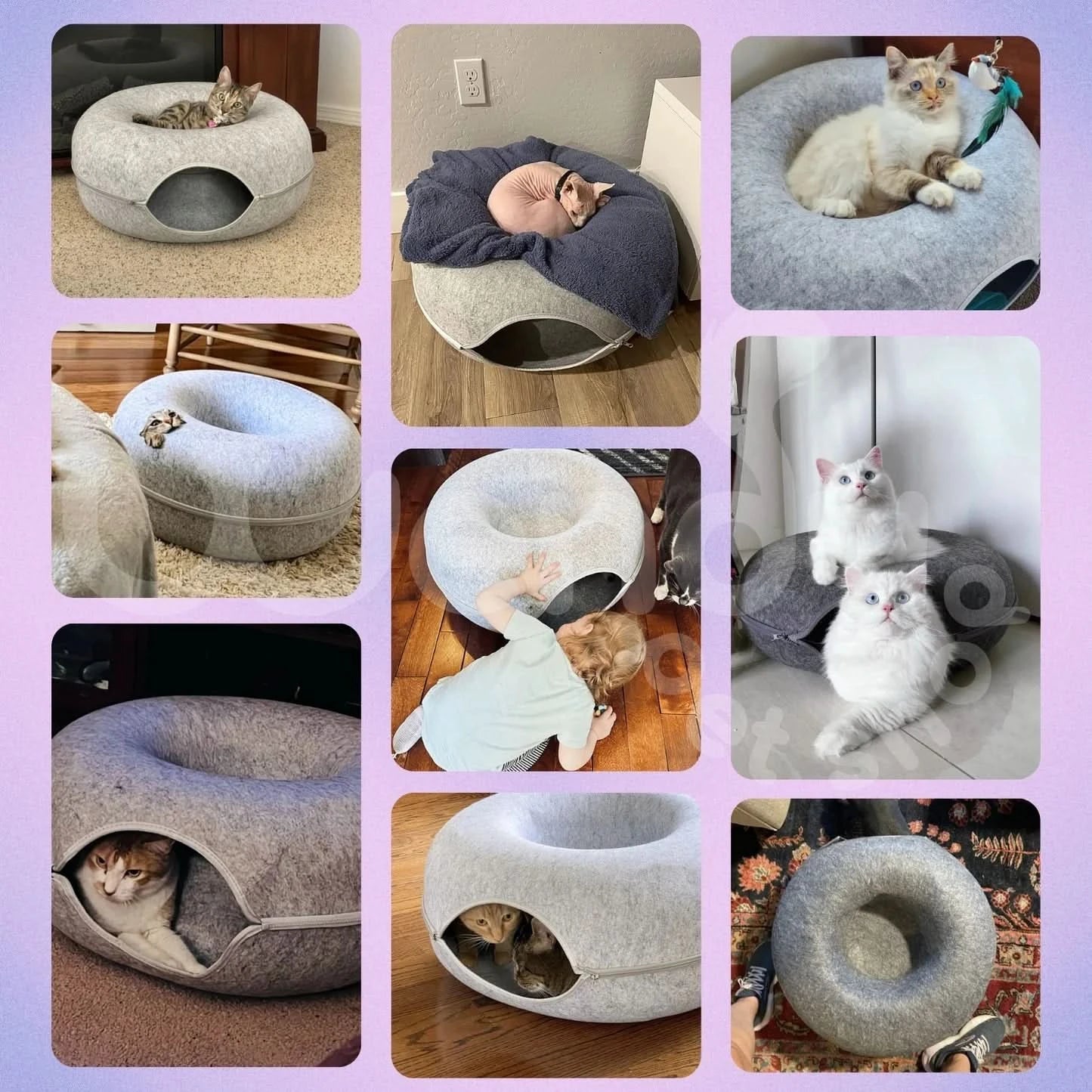 PurrPod™ Hideaway Bed