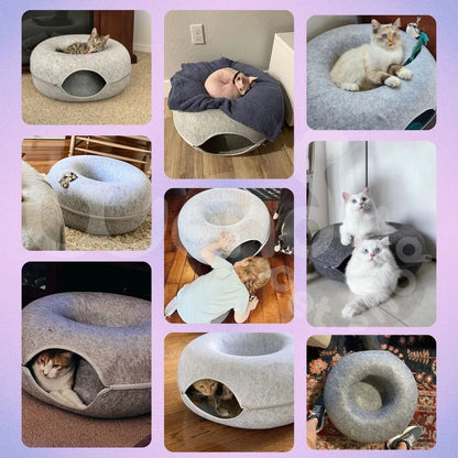 PurrPod™ Hideaway Bed