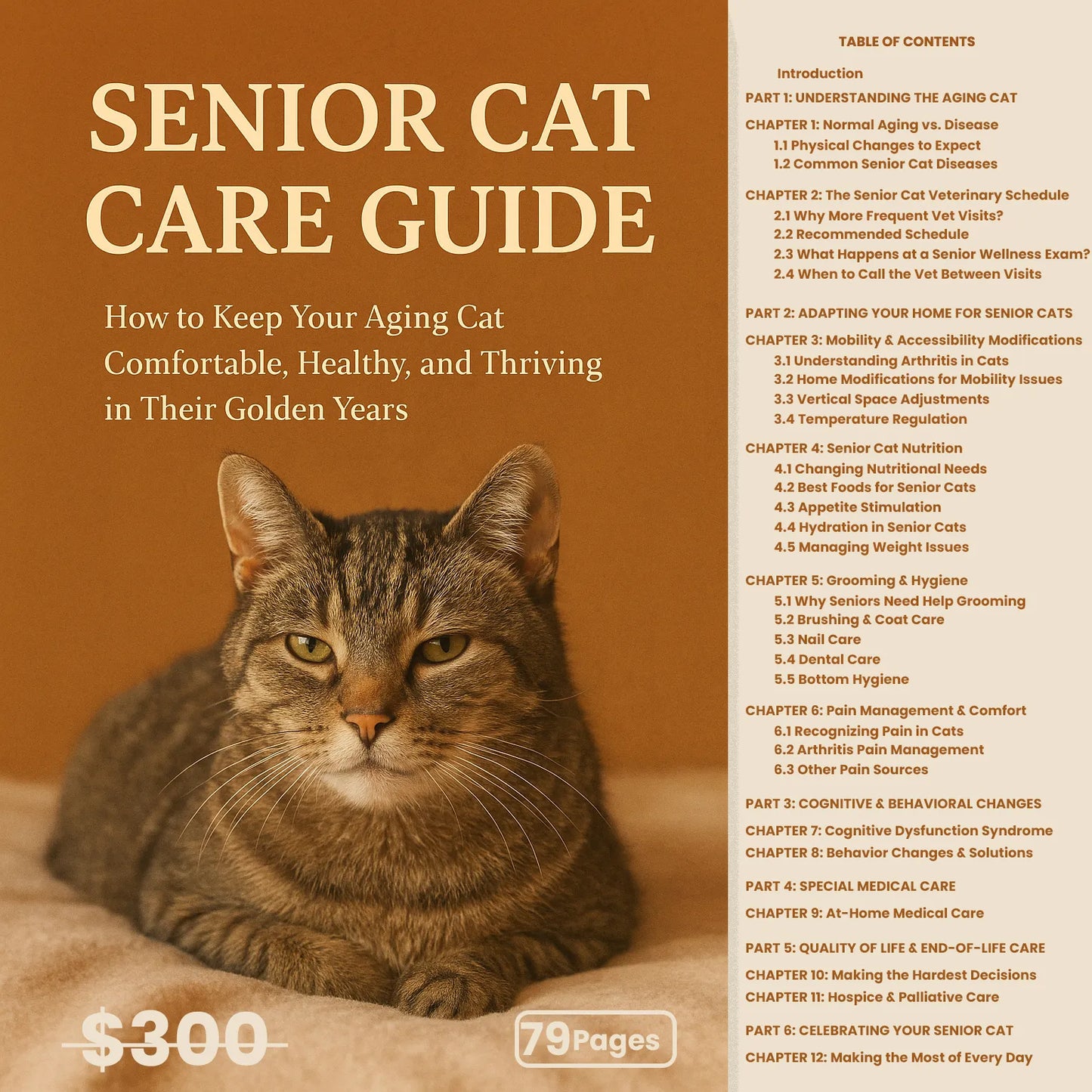 Combo 6 Ebooks - The Complete Cat Parent Confidence Bundle