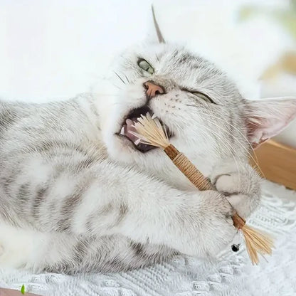 AquaPurr Natural Silvervine Dental Sticks