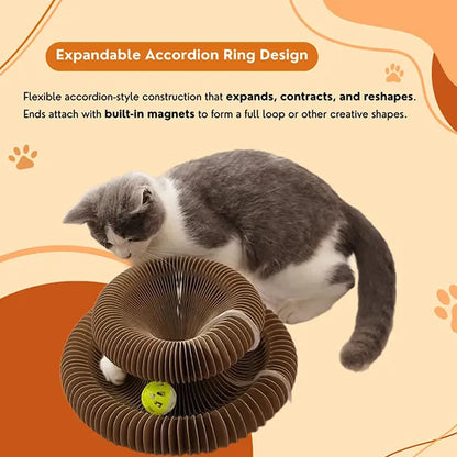 PurrLift™ – Where Every Claw Finds Joy