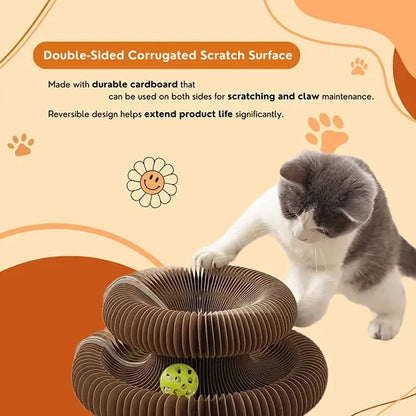 PurrLift™ – Where Every Claw Finds Joy