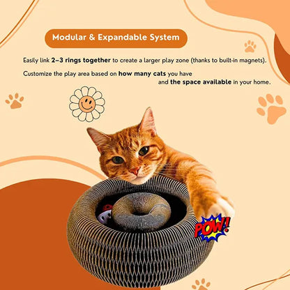 PurrLift™ – Where Every Claw Finds Joy